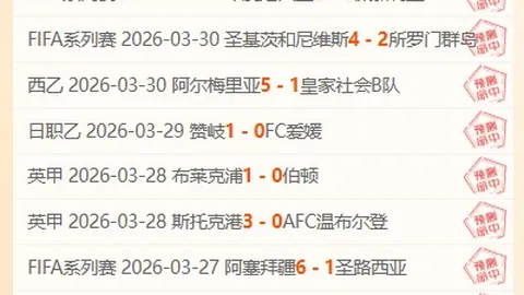 奇才败北，阿德巴约砍下19分14篮板