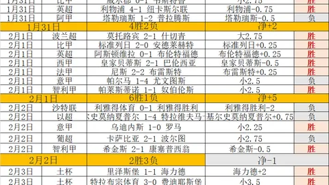 尤文官方：伊尔迪兹为尤文防线支柱，需2亿欧转会费才能放行